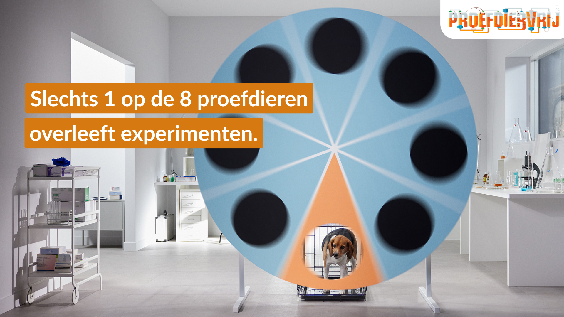 Proefdiervrij